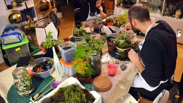 Shop the Exclusive Two-Hour Advanced Terrarium Workshop Experience at Botanical Boys for Individuals - Image 2