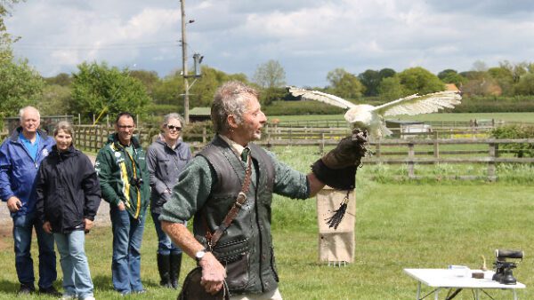 Shop the Exhilarating Falconry Experience for Two: Encounter Birds of Prey - Image 2