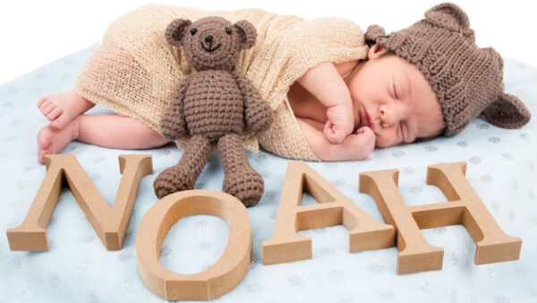 Shop for an Exclusive Newborn and Baby Two-Hour Photoshoot Experience at Lite-Box Imagery - Image 3