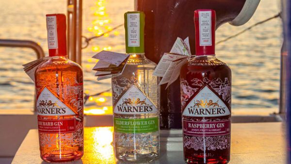 Shop the Exclusive Artisan Gin Tasting and Canapé Experience for Two by Dorset Cruises - Image 3