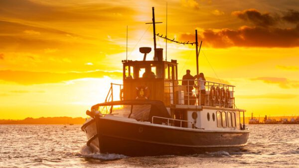 Shop the Exclusive Artisan Gin Tasting and Canapé Experience for Two by Dorset Cruises - Image 6