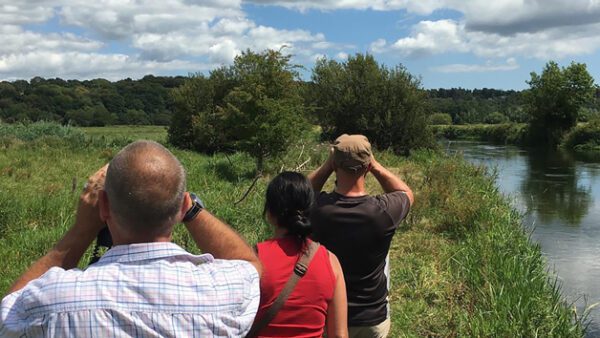 Shop the Exclusive Bird Whisperer Private Wildlife Walk Experience for Two