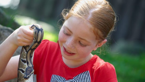 Shop the Exclusive Reptile Close Encounter Experience for Two at Drusillas Park Zoo - Image 4