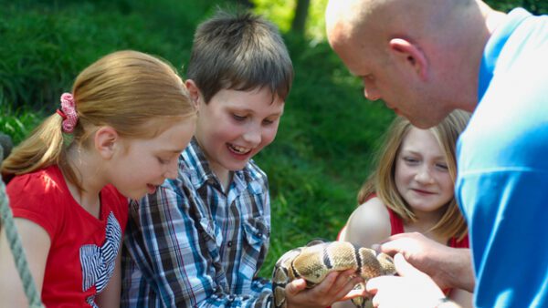 Shop the Exclusive Reptile Close Encounter Experience for Two at Drusillas Park Zoo - Image 3