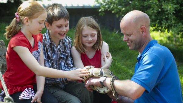 Shop the Exclusive Reptile Close Encounter Experience for Two at Drusillas Park Zoo