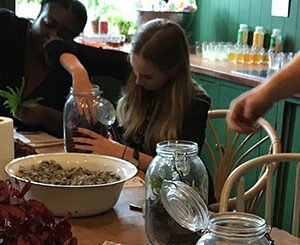 Shop the Exclusive Tropical Terrarium Workshop with Tool Making Masterclass for Couples in East London