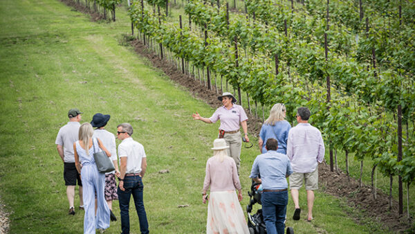 Shop the Exclusive Vineyard Tour with Wine Tasting Experience for Two at Ashling Park Estate - Image 4