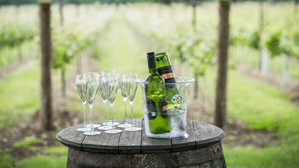 Shop the Exclusive Vineyard Tour with Wine Tasting Experience for Two at Ashling Park Estate