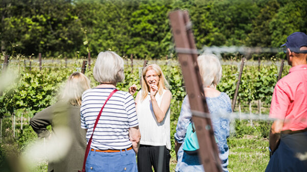 Shop the Exclusive Vineyard Tour with Wine Tasting Experience for Two at Ashling Park Estate - Image 2