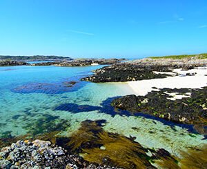 Shop the Seal Watching Experience for Couples in Oban, Scotland