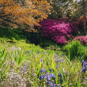 Shop the Exclusive Wakehurst Visit Experience for Two